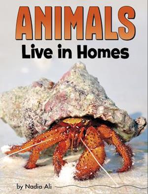 Animals Live in Homes