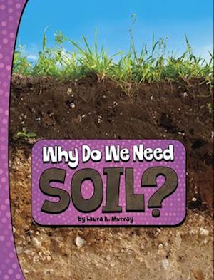 Why Do We Need Soil?