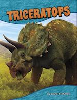 Triceratops