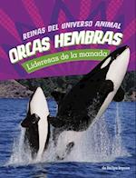 Orcas Hembras