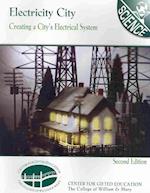 Electricity City: Designing an Electrical System