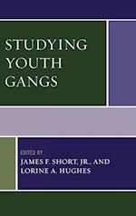Studying Youth Gangs
