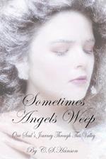 Sometimes Angels Weep: One Soul's Journey Through This Valley 