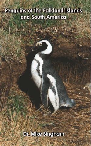 Penguins of the Falkland Islands and South America