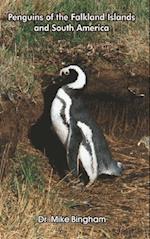 Penguins of the Falkland Islands and South America