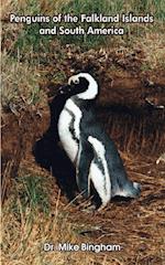 Penguins of the Falkland Islands and South America