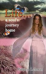 Life...: A Soul's Journey Home 