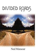 Divided Roads