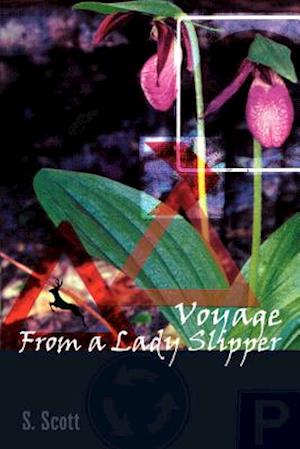 Voyage From a Lady Slipper