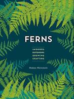 Ferns