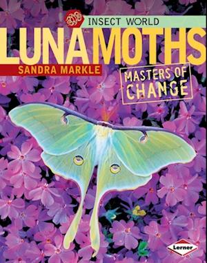 Luna Moths