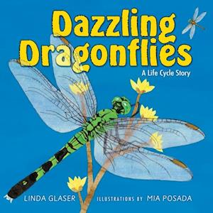 Dazzling Dragonflies