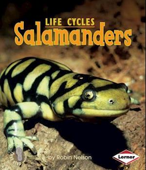 Salamanders