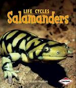 Salamanders