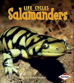 Salamanders