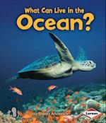 What Can Live in the Ocean?