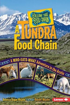 Tundra Food Chain