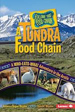Tundra Food Chain