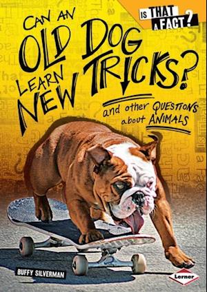 Can an Old Dog Learn New Tricks?