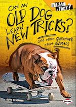 Can an Old Dog Learn New Tricks?