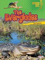 Everglades