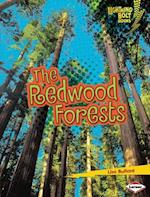 Redwood Forests