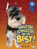 Miniature Schnauzers Are the Best!