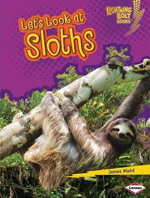 Let's Look at Sloths