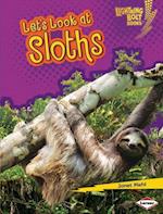 Let's Look at Sloths