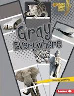 Gray Everywhere