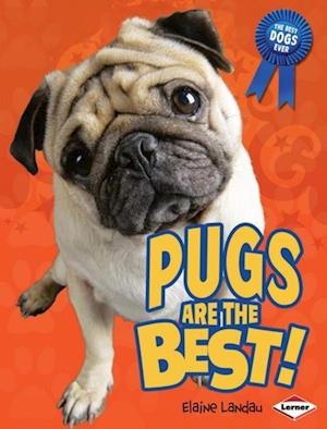 Pugs Are the Best!