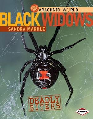 Black Widows