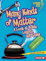 Many Kinds of Matter