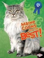 Maine Coons Are the Best!