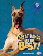 Great Danes Are the Best!