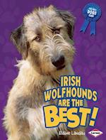 Irish Wolfhounds Are the Best!