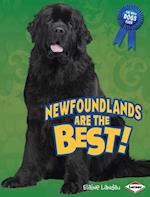 Newfoundlands Are the Best!