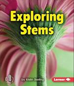 Exploring Stems