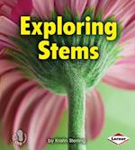 Exploring Stems