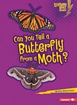 Can You Tell a Butterfly from a Moth?