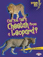 Can You Tell a Cheetah from a Leopard?