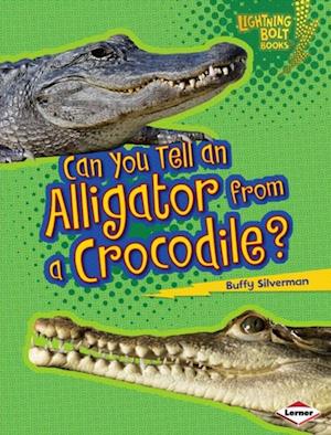 Can You Tell an Alligator from a Crocodile?