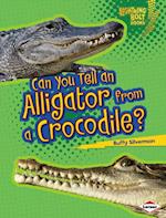 Can You Tell an Alligator from a Crocodile?