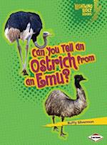 Can You Tell an Ostrich from an Emu?