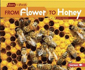 From Flower to Honey