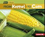 From Kernel to Corn