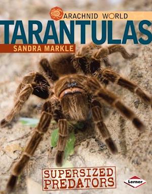 Tarantulas