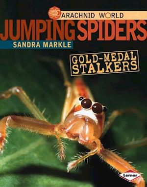 Jumping Spiders