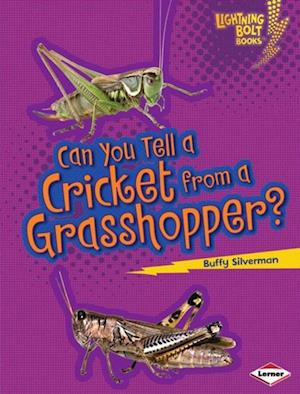 Can You Tell a Cricket from a Grasshopper?