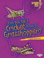 Can You Tell a Cricket from a Grasshopper?